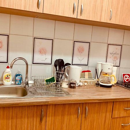 Ultracentral Apartment With All You Need: Wifi, Tv, Ac, Washer, Coffe Τιμισοάρα Εξωτερικό φωτογραφία