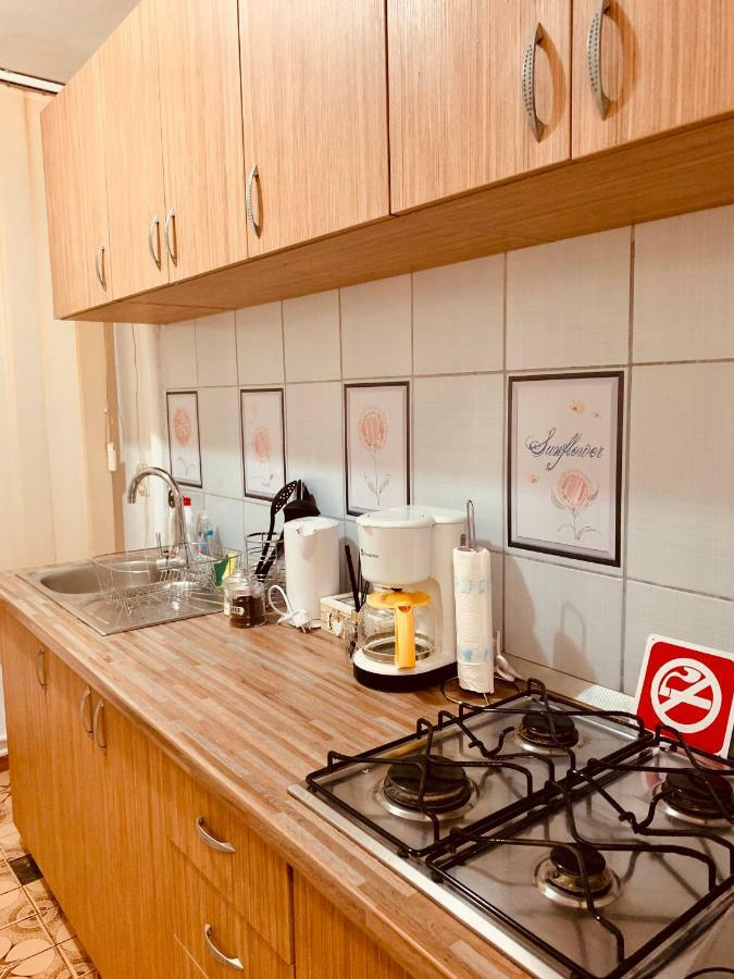 Ultracentral Apartment With All You Need: Wifi, Tv, Ac, Washer, Coffe Τιμισοάρα Εξωτερικό φωτογραφία