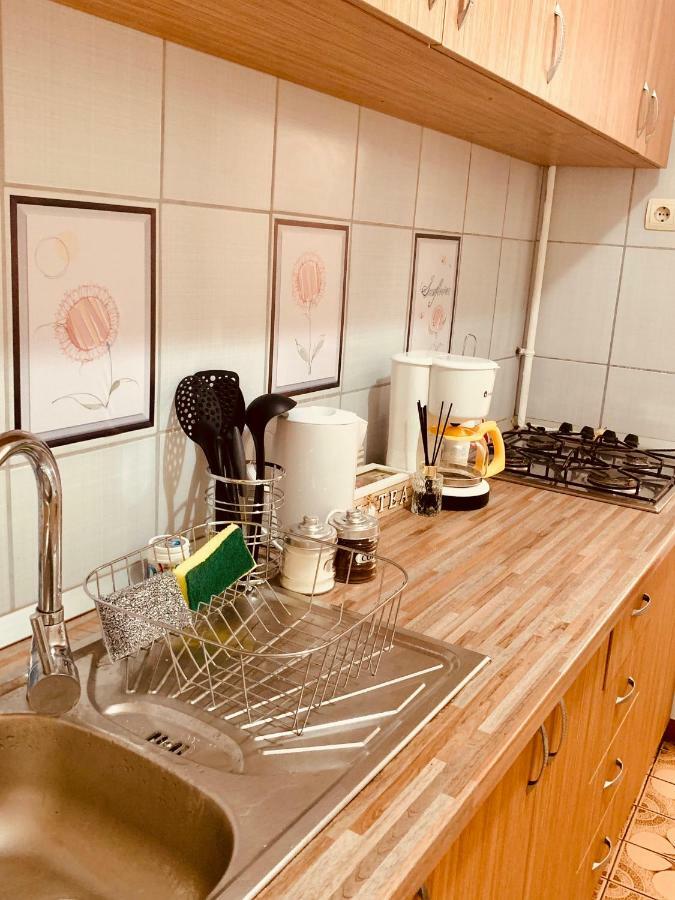 Ultracentral Apartment With All You Need: Wifi, Tv, Ac, Washer, Coffe Τιμισοάρα Εξωτερικό φωτογραφία