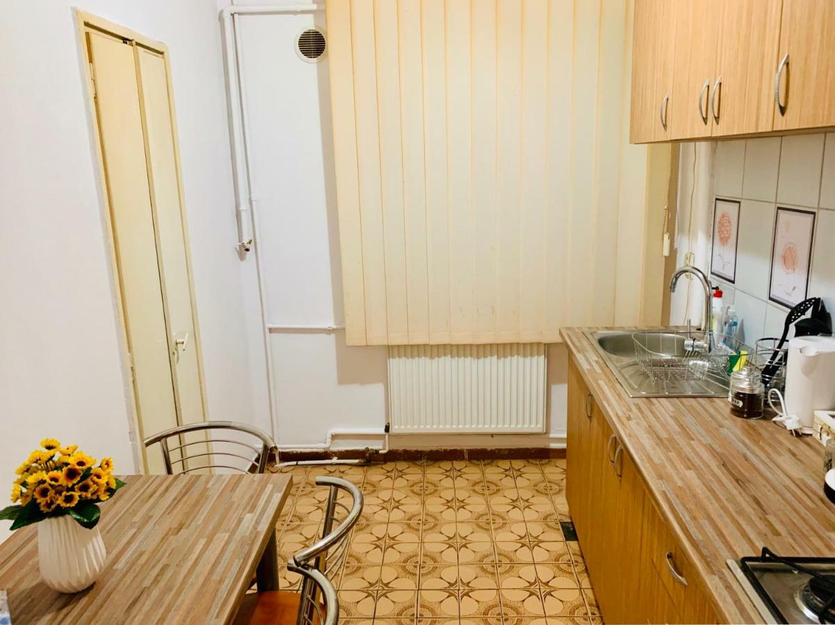 Ultracentral Apartment With All You Need: Wifi, Tv, Ac, Washer, Coffe Τιμισοάρα Εξωτερικό φωτογραφία