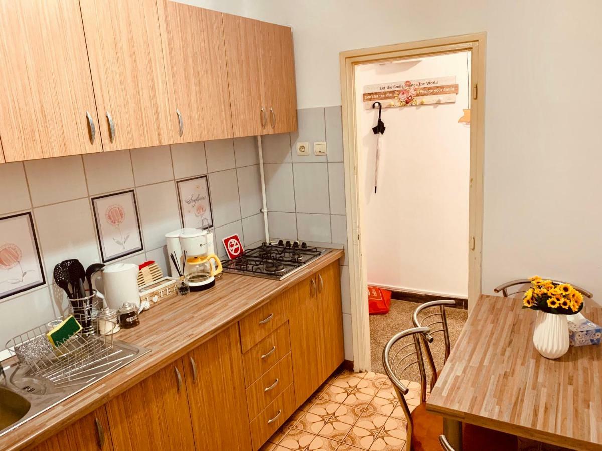 Ultracentral Apartment With All You Need: Wifi, Tv, Ac, Washer, Coffe Τιμισοάρα Εξωτερικό φωτογραφία